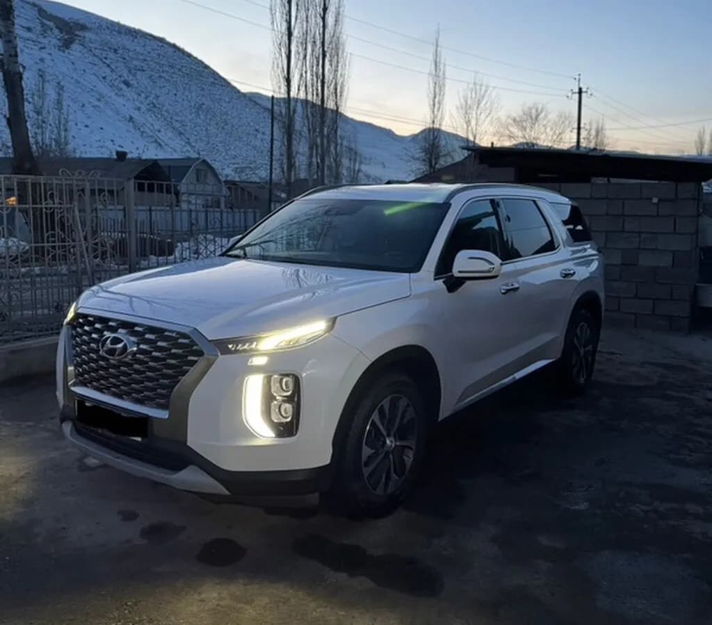 Hyundai Palisade, 2019