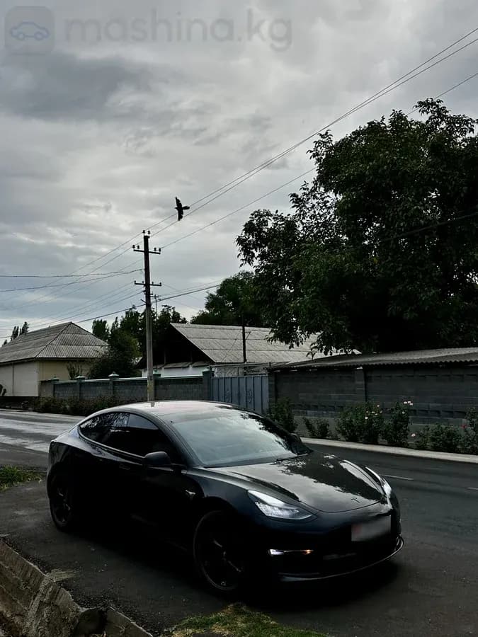 Tesla Model 3, 2019, Манас (Джалал-Абад)