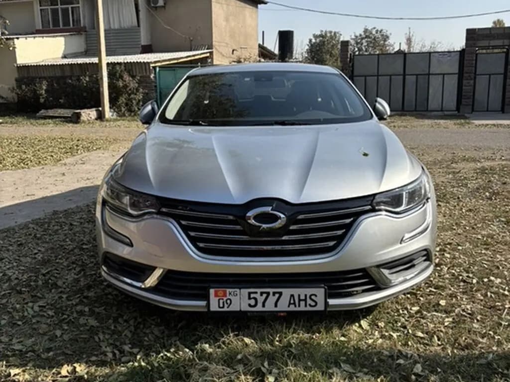 Renault SM6, 2019, с. Военно-Антоновка