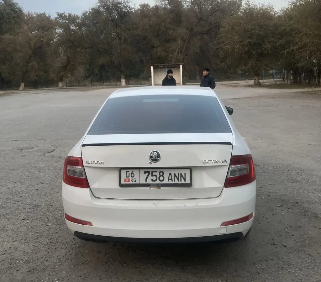 Skoda Octavia, 2015, с. Джаны-Джер