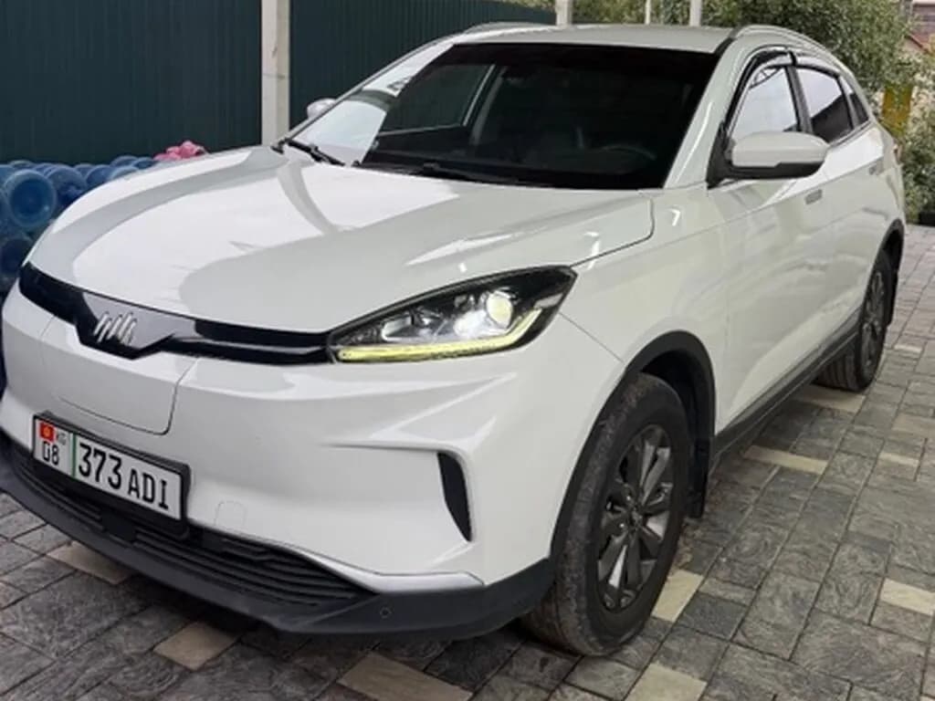 Weltmeister EX5, 2020, Unknown