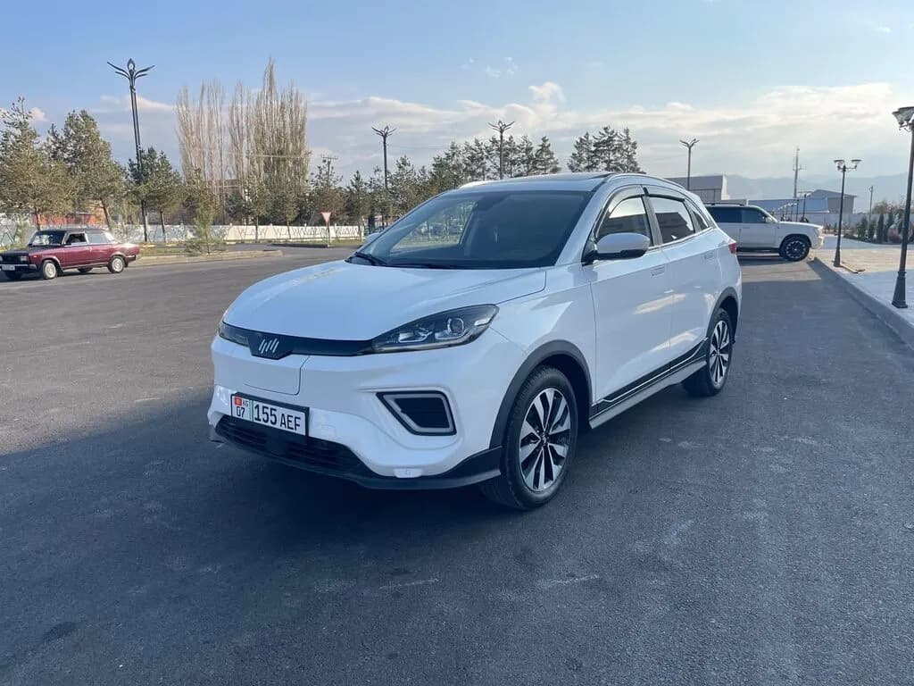 Weltmeister EX5, 2020, Талас