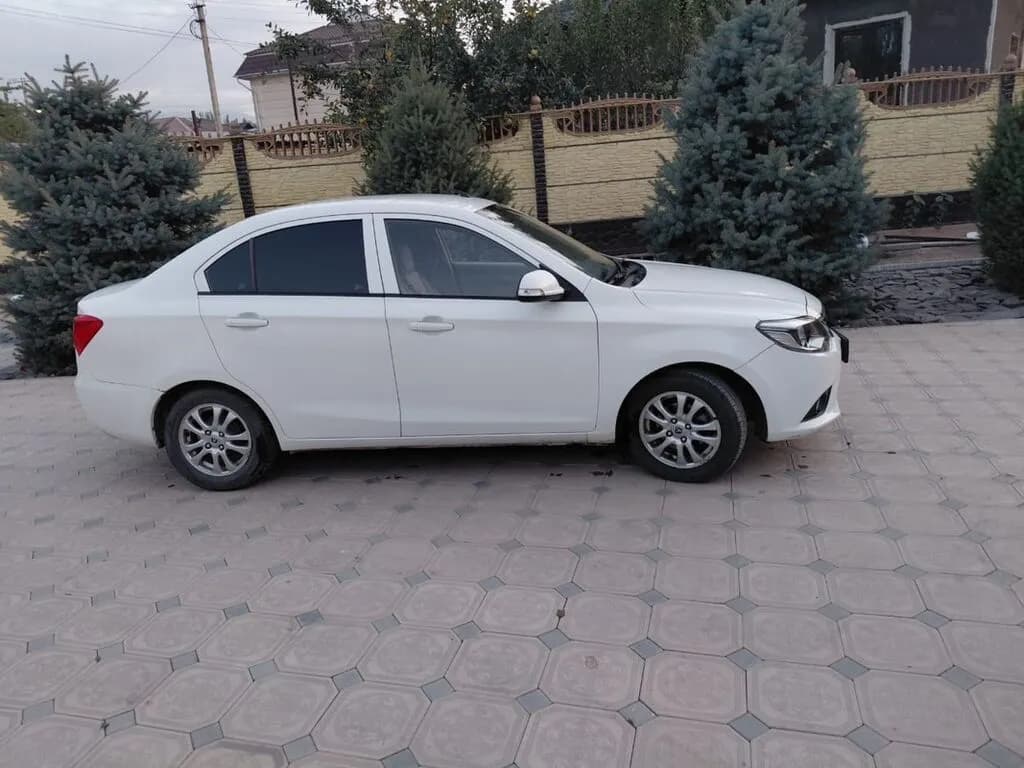 Changan Alsvin, 2018, Шопоков