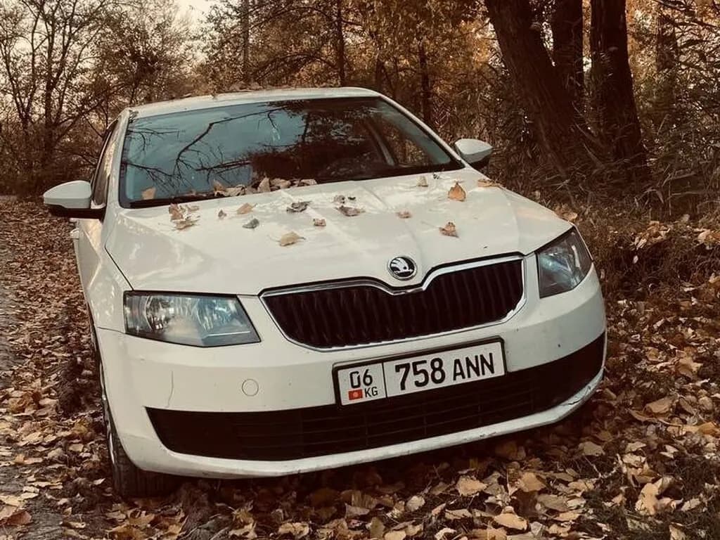Skoda Octavia, 2015, Unknown