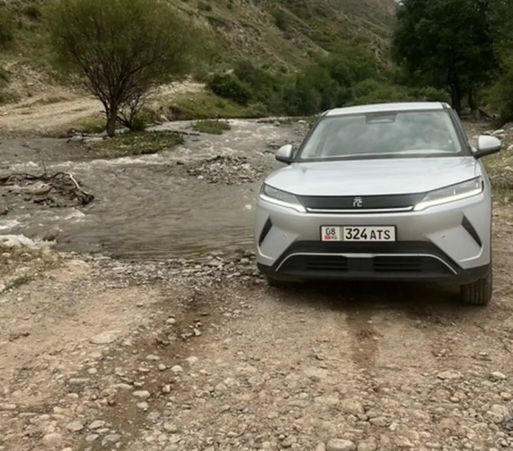 BYD Yuan Up, 2025