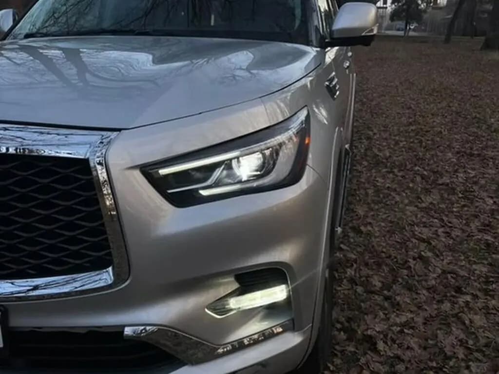 Infiniti QX80, 2019