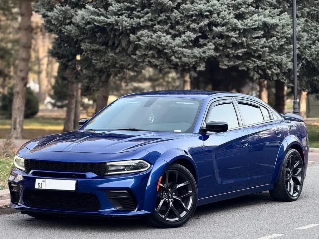 Dodge Charger, 2019, с. Милянфан