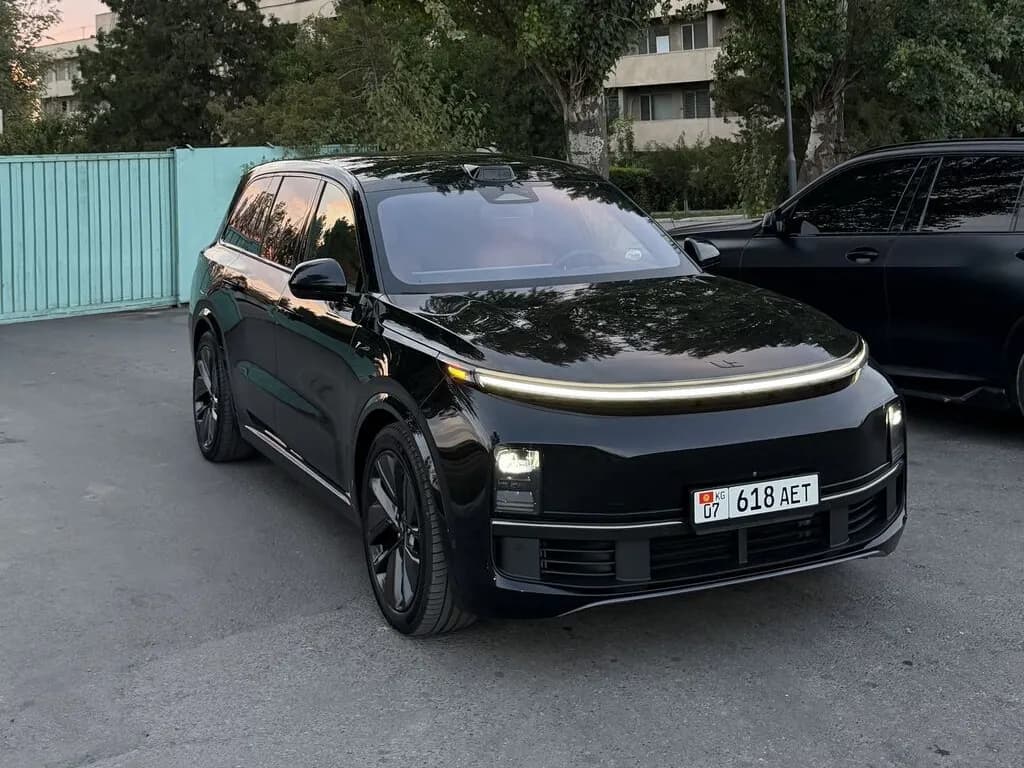 Li Auto (Lixiang) L9, 2023, Талас