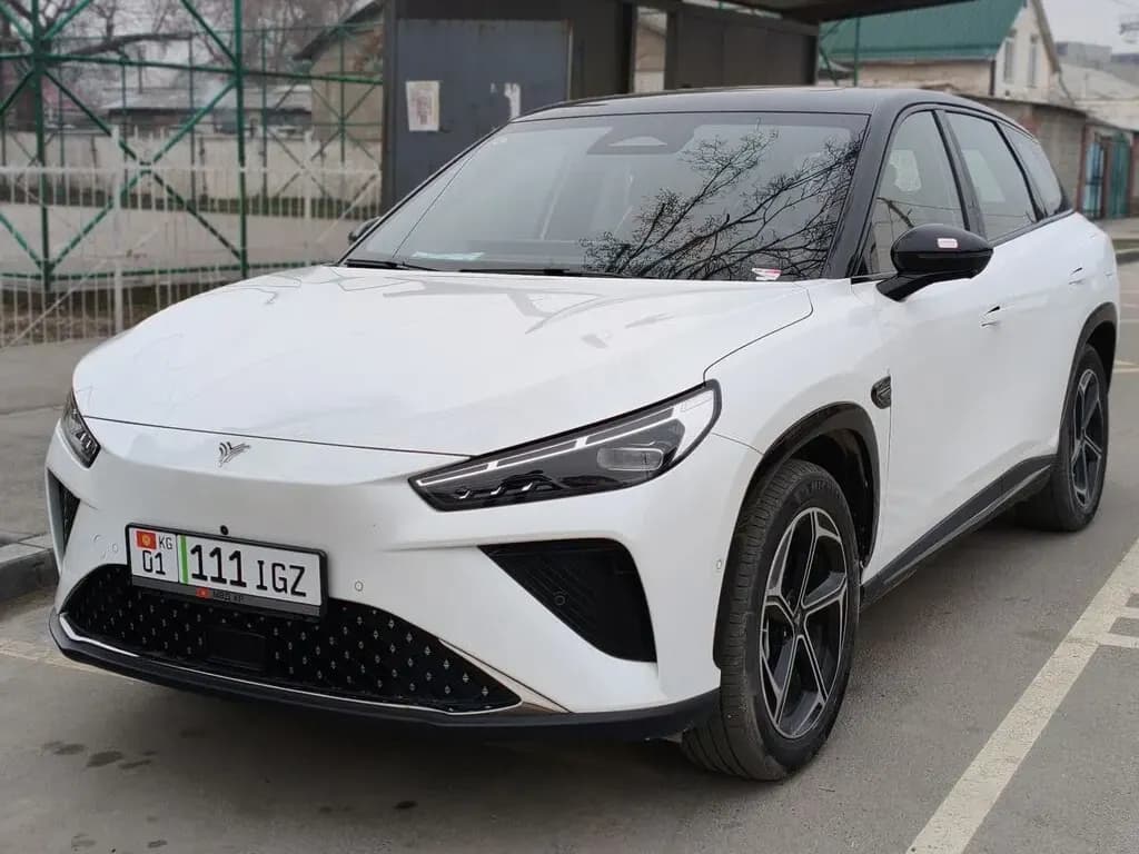Hozon Neta L, 2024, Бишкек