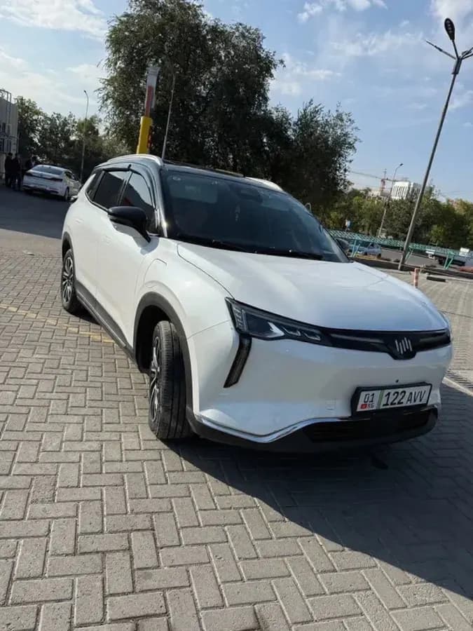 Weltmeister W6, 2022, Бишкек