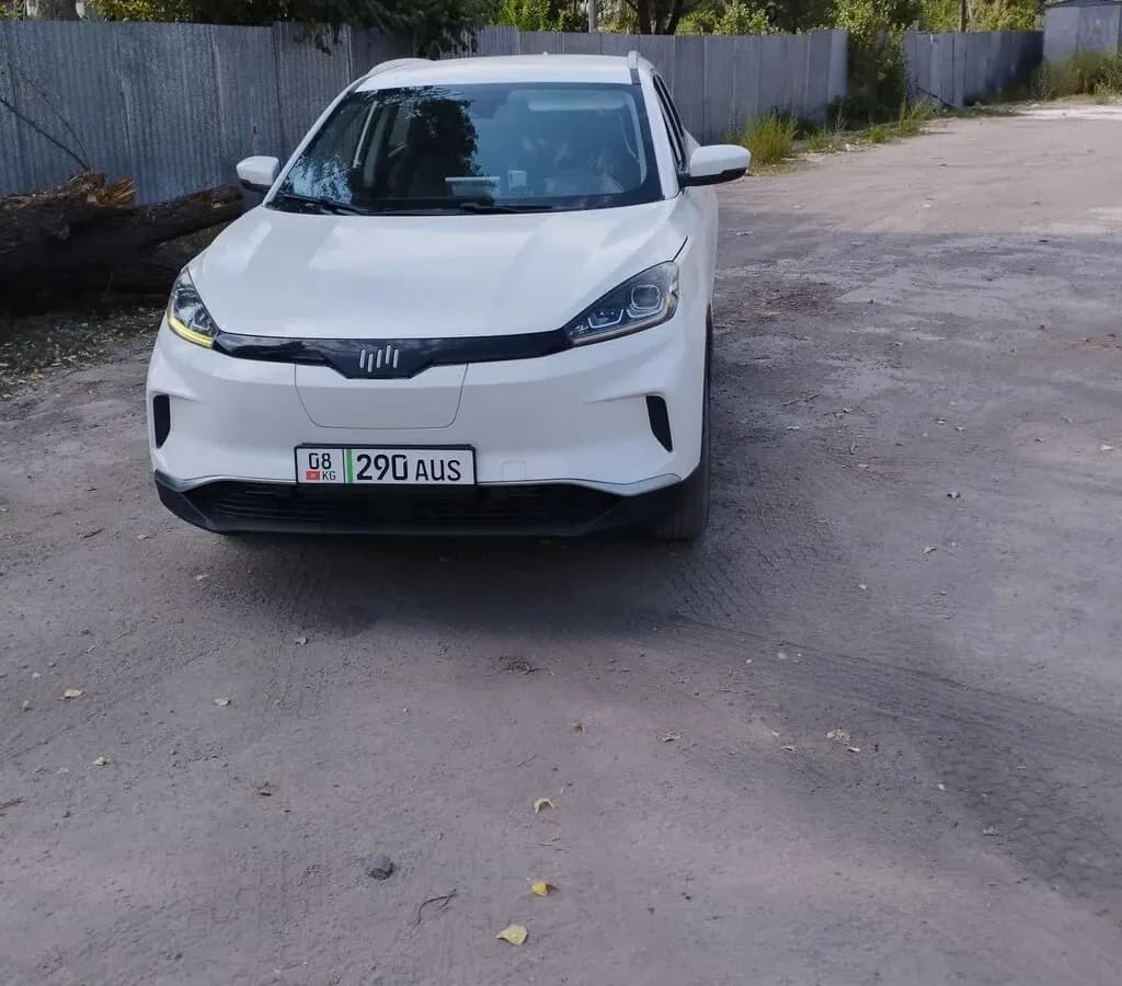 Weltmeister EX5, 2021, Кант