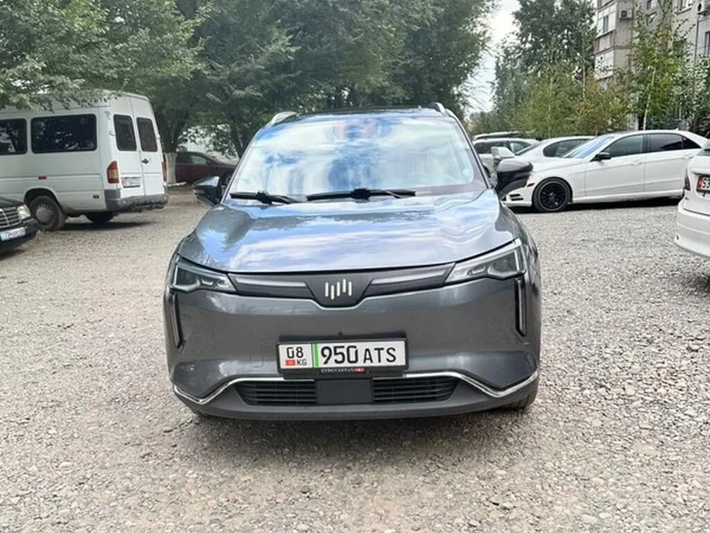 Weltmeister W6, 2022, Unknown