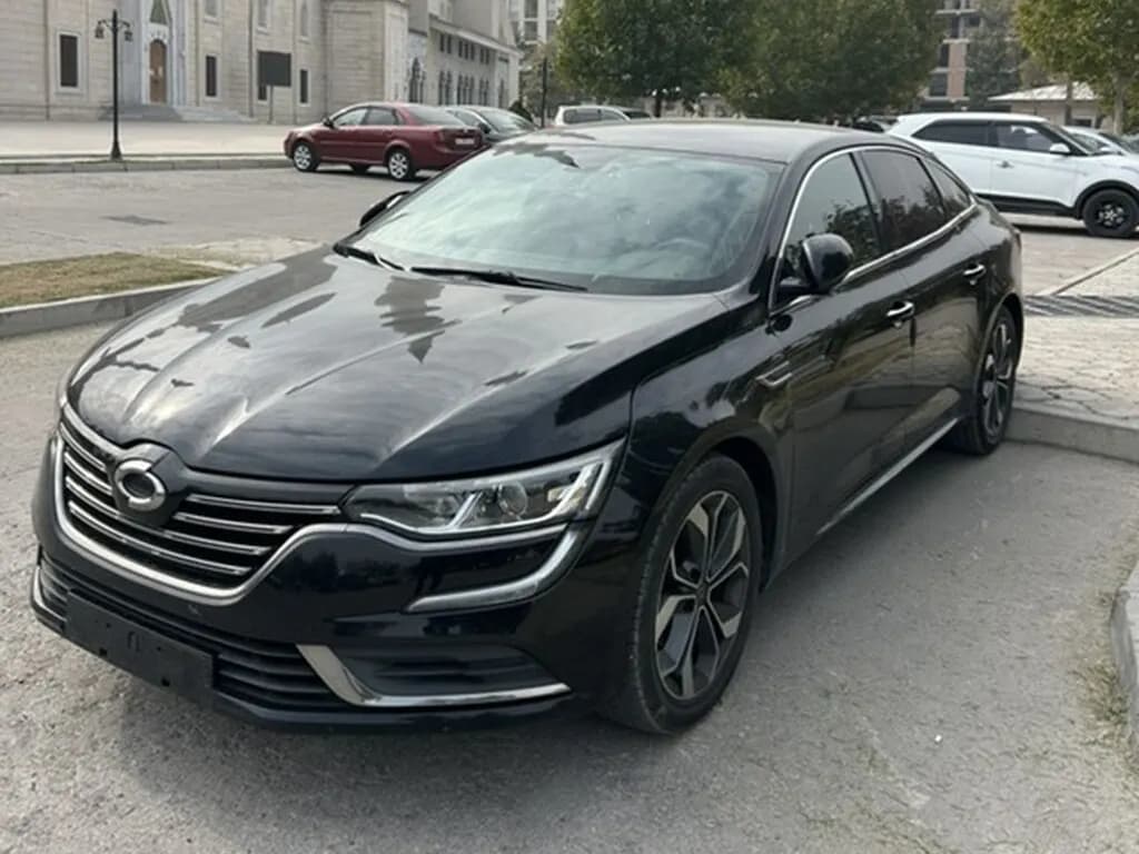 Renault SM6, 2020, с. Военно-Антоновка