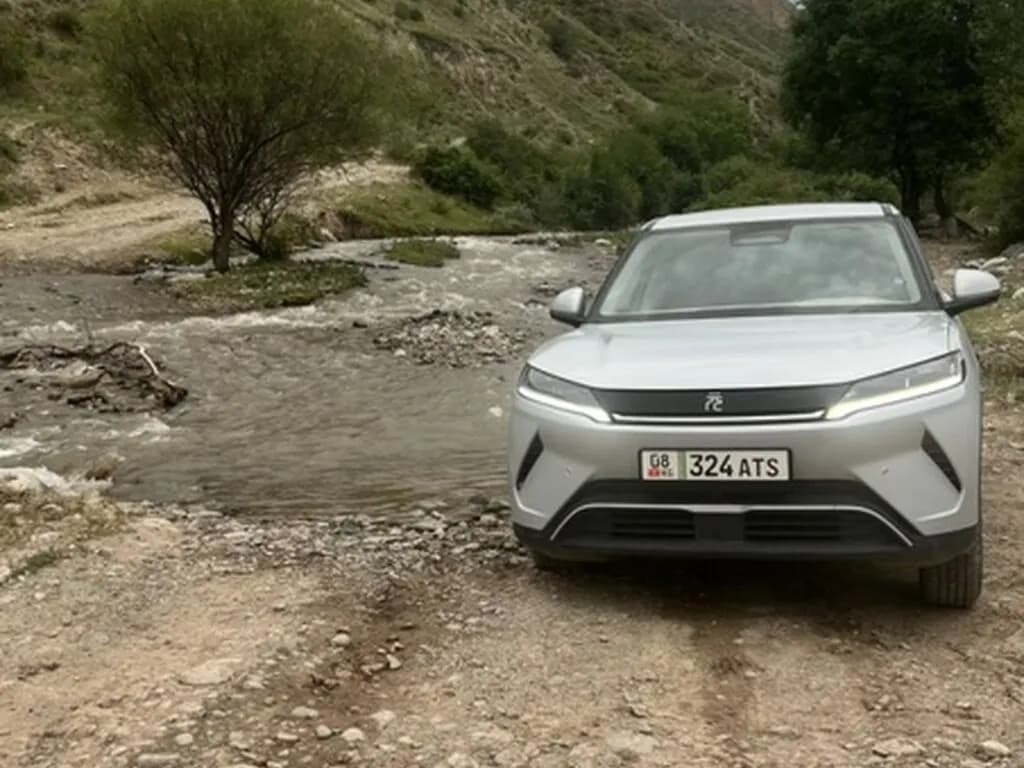 BYD Yuan Up, 2025