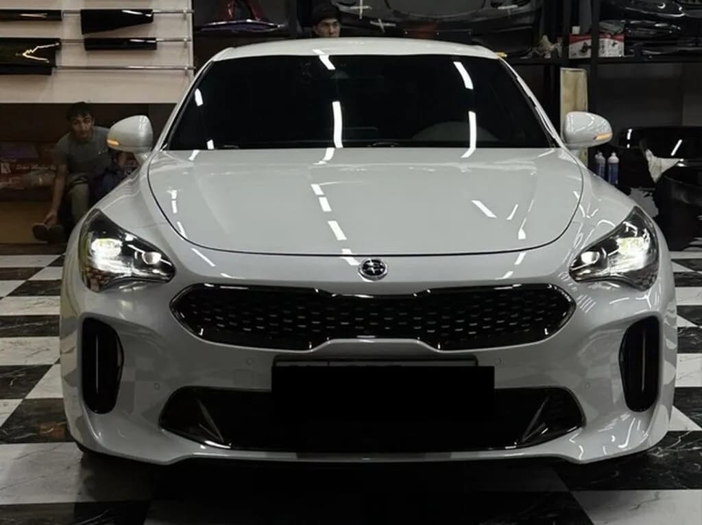 Kia Stinger, 2019, Манас