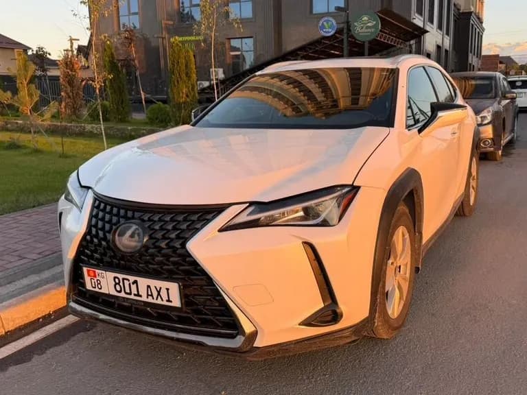 Lexus UX, 2019, Сокулук