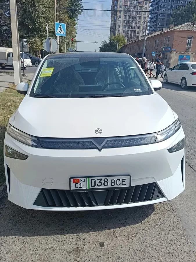 Venucia VX6, 2024, Ош