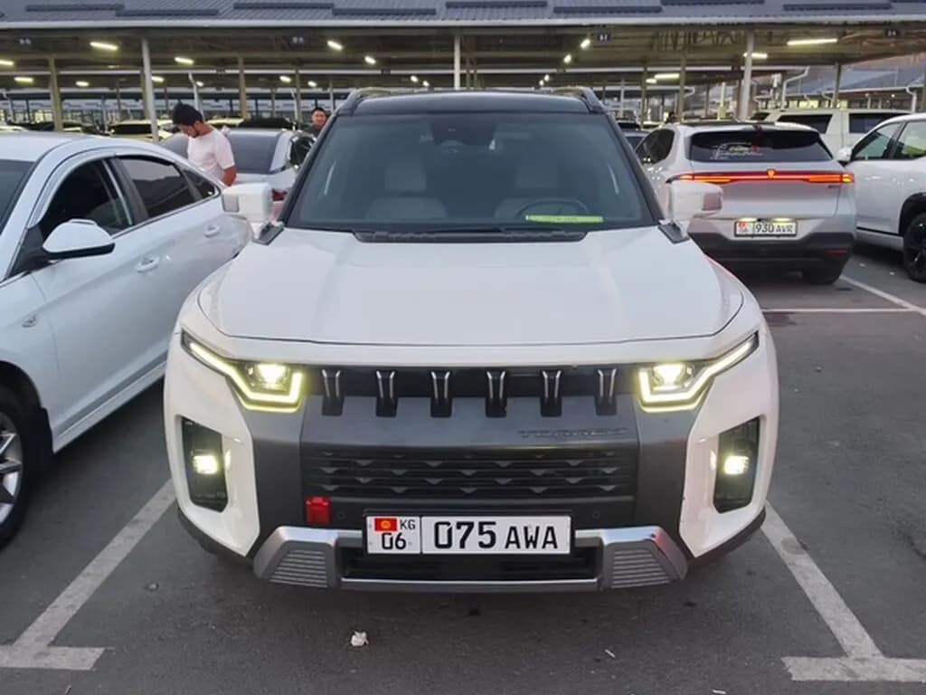 SsangYong Torres, 2024, Араван