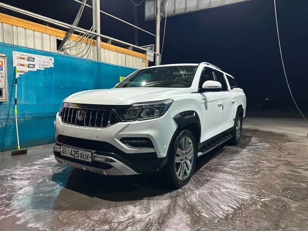 Dongfeng Rich, 2020, Unknown