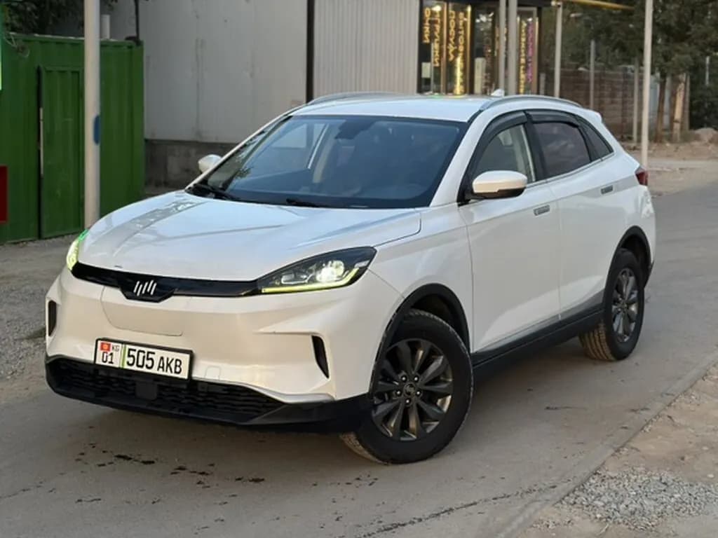 Weltmeister EX5, 2019, Unknown