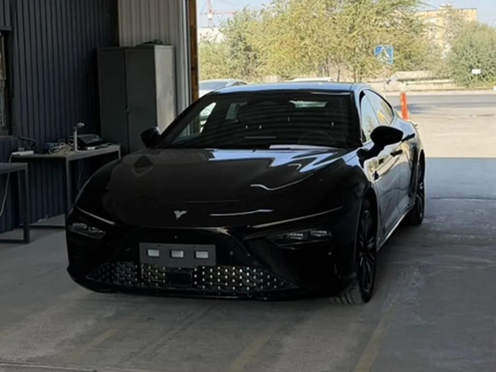 Hozon Neta S, 2023