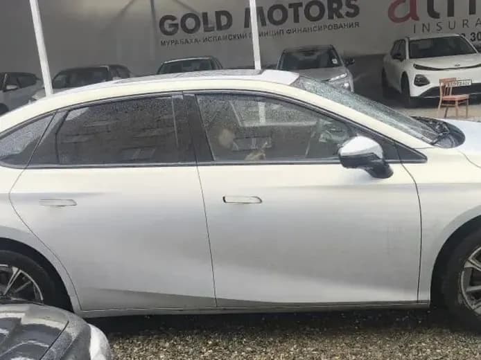 Aion S Plus, 2023, Ош