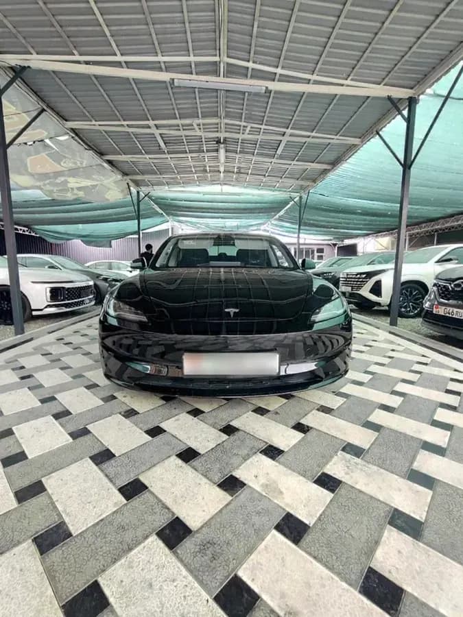 Tesla Model 3, 2025, Ош
