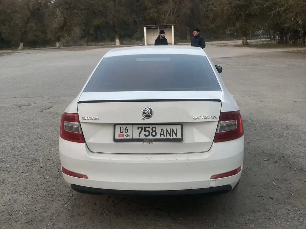 Skoda Octavia, 2015, с. Джаны-Джер