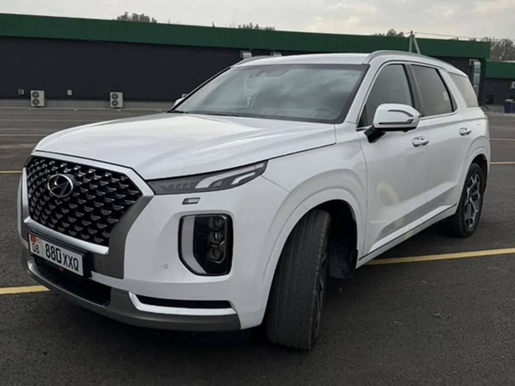 Hyundai Palisade, 2020, Кант