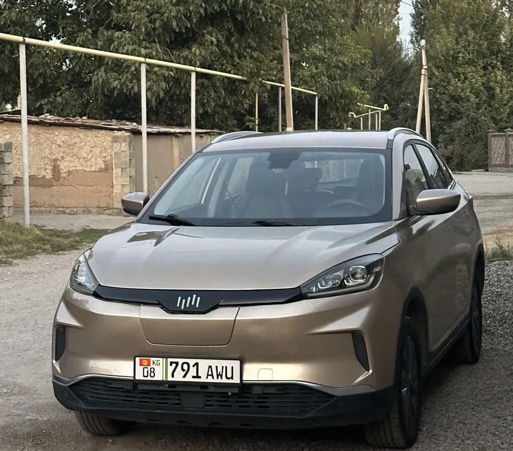 Weltmeister EX5, 2021, с. Новопокровка