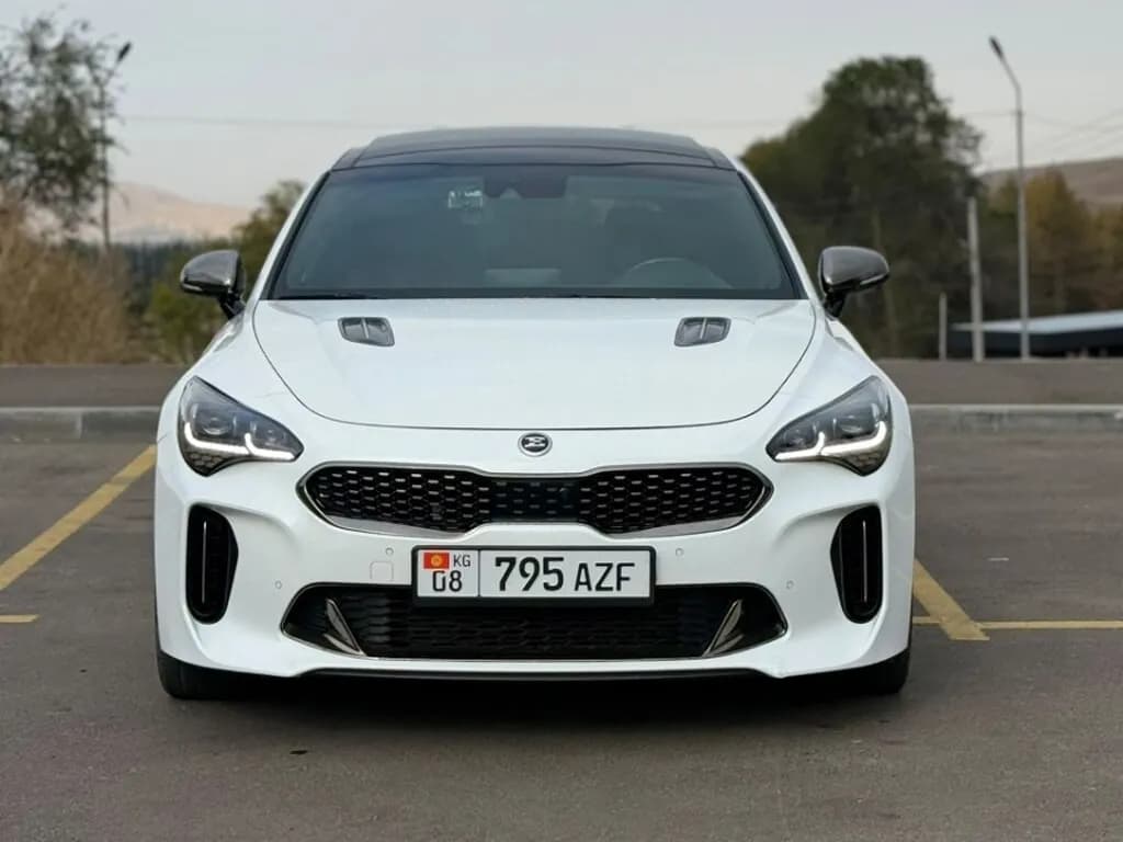 Kia Stinger, 2018, Unknown