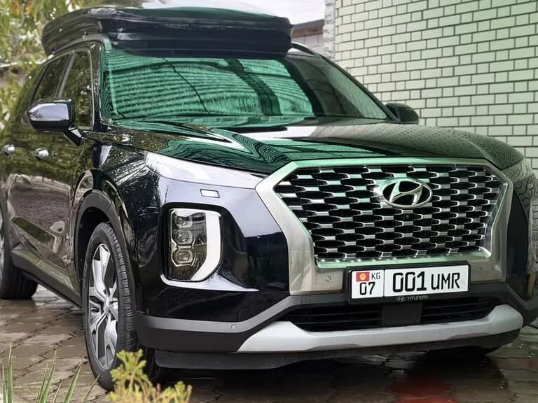 Hyundai Palisade, 2019, Кант