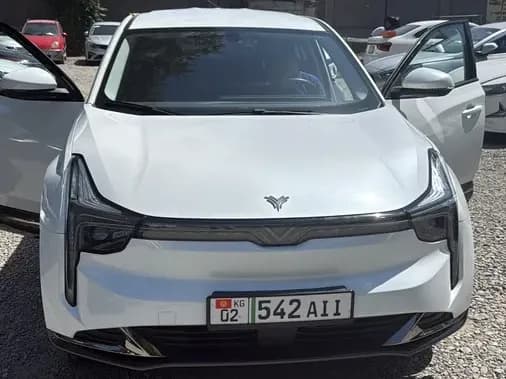 Hozon Neta U, 2022, Ош