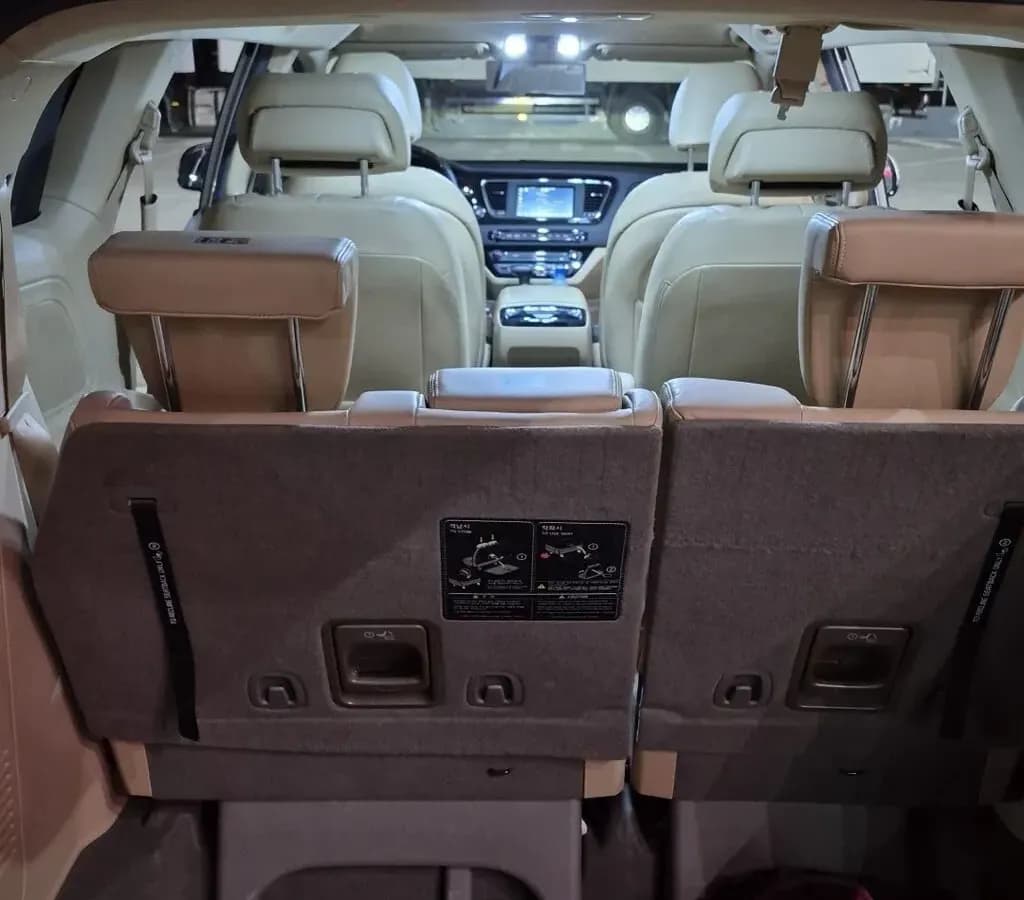 Kia Carnival, 2019, Шопоков