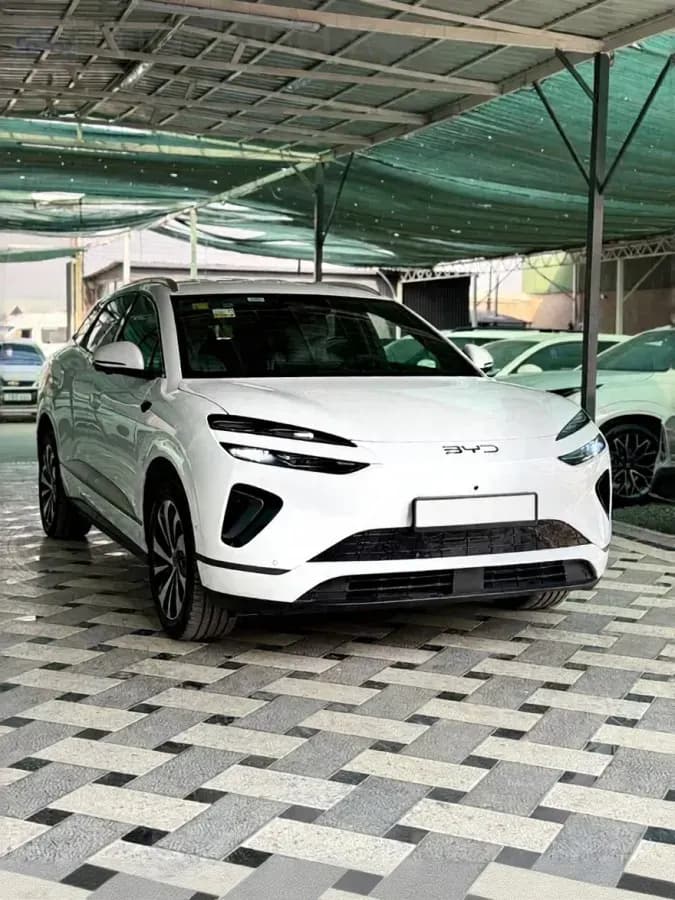 BYD Sea Lion 06, 2025, Ош