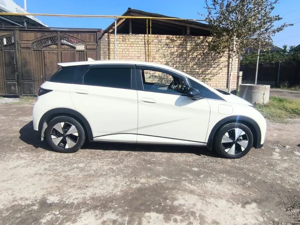 BYD Dolphin, 2023, Манас