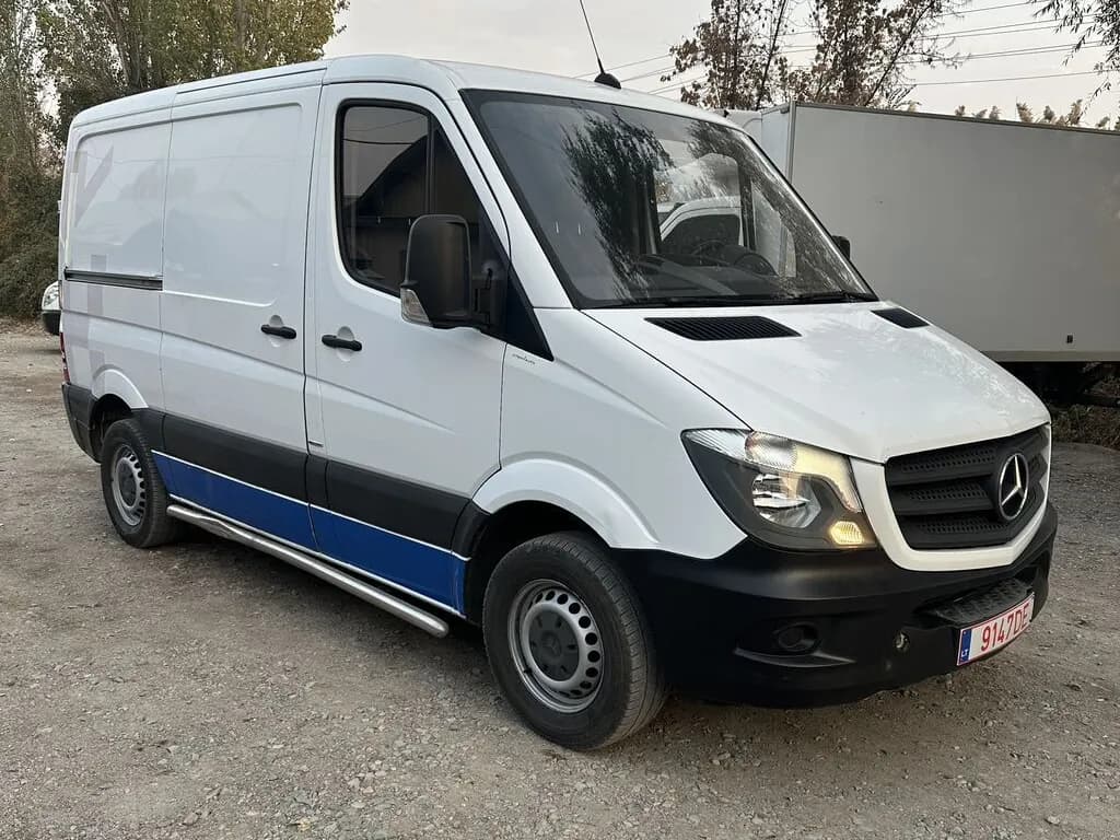 Mercedes-Benz Sprinter, 2017, с. Лебединовка
