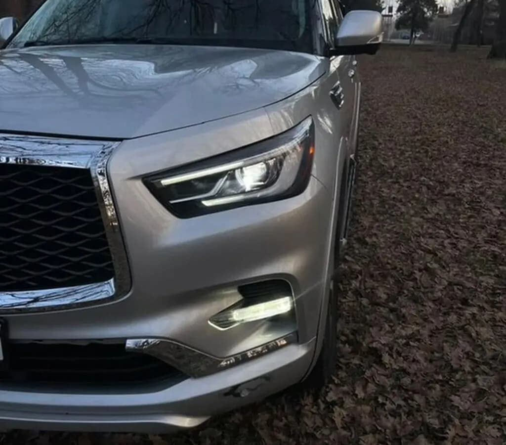 Infiniti QX80, 2019