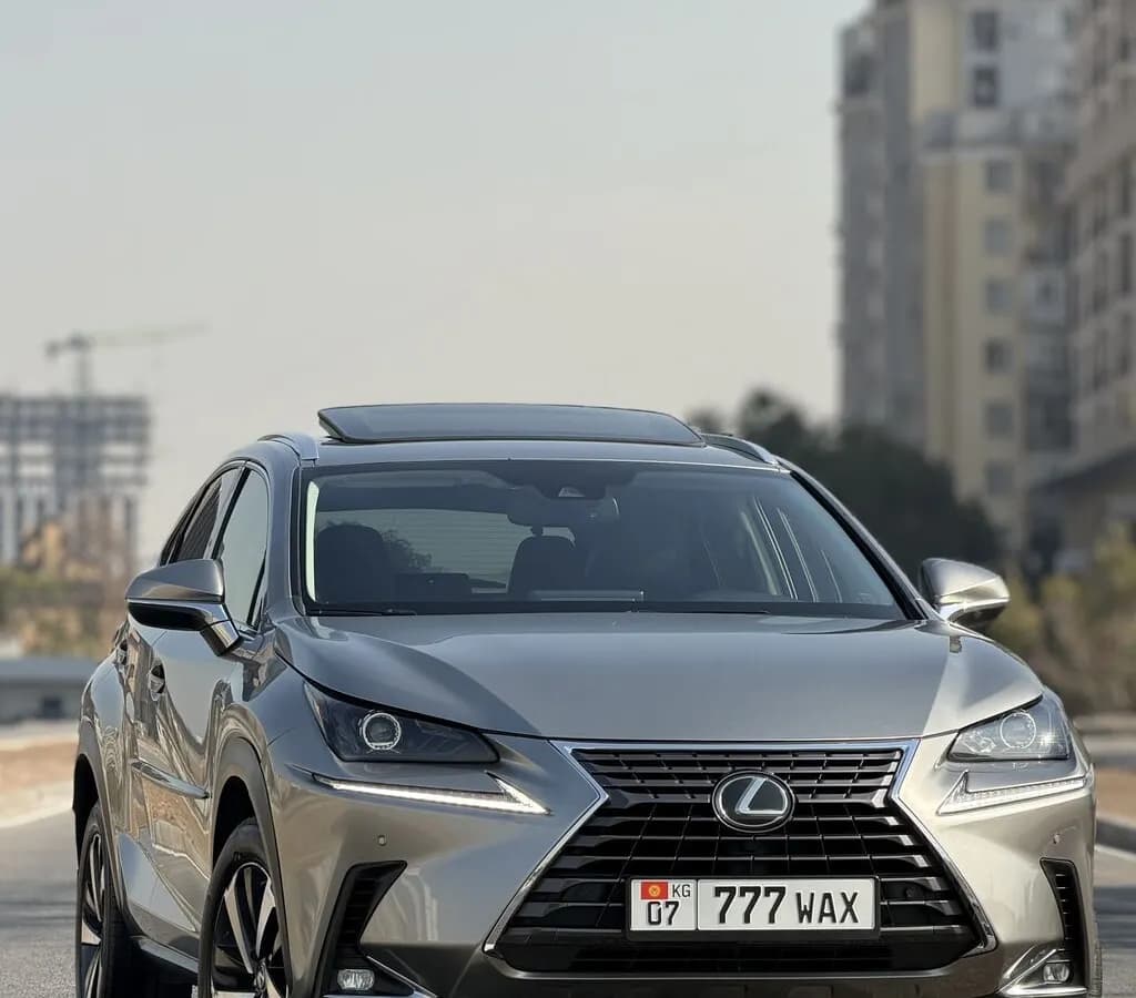 Lexus NX, 2018