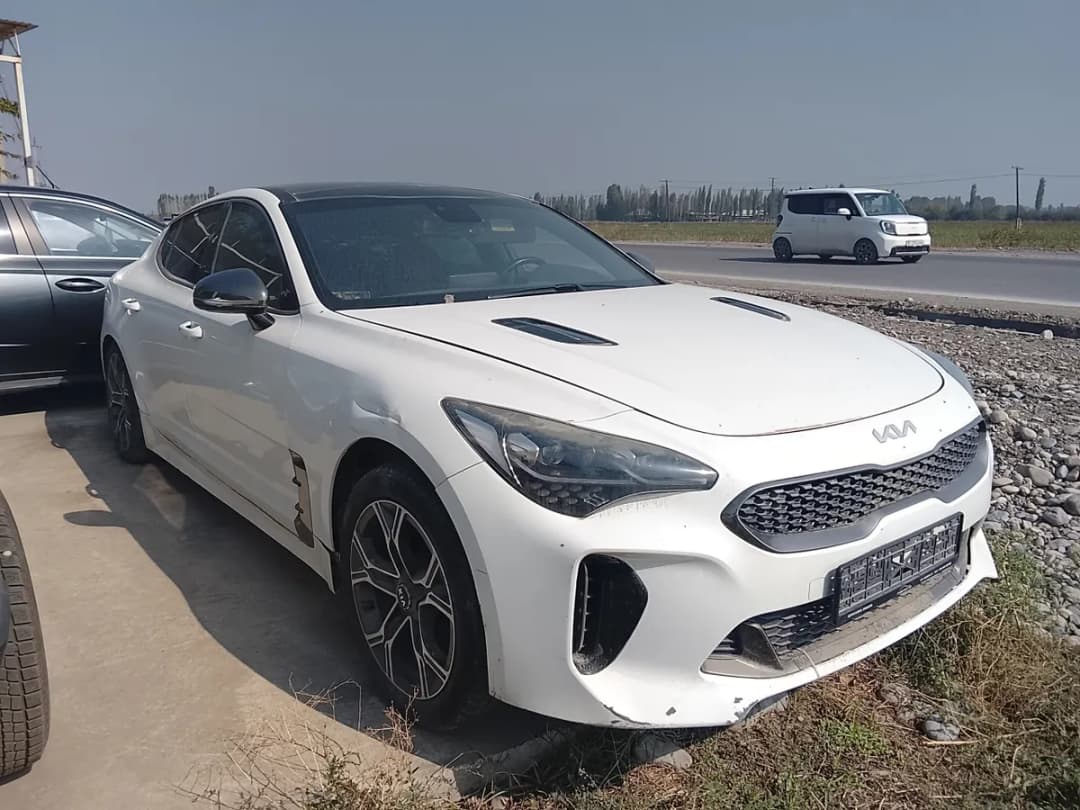 Kia Stinger, 2020, Ош