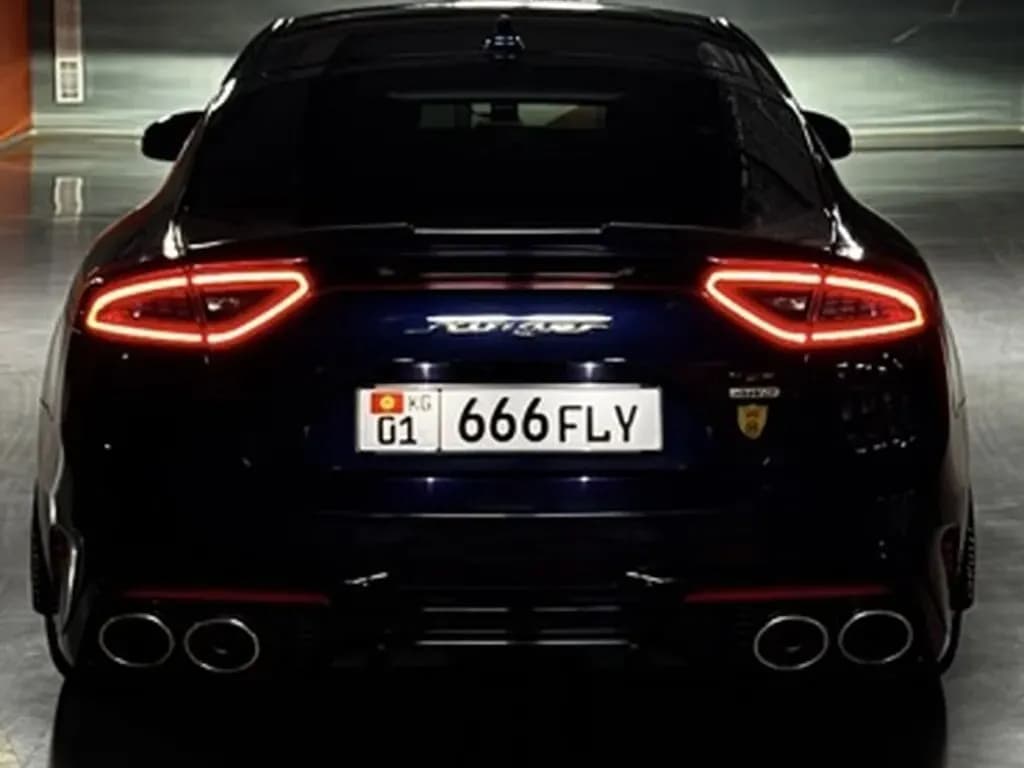 Kia Stinger, 2019, Unknown