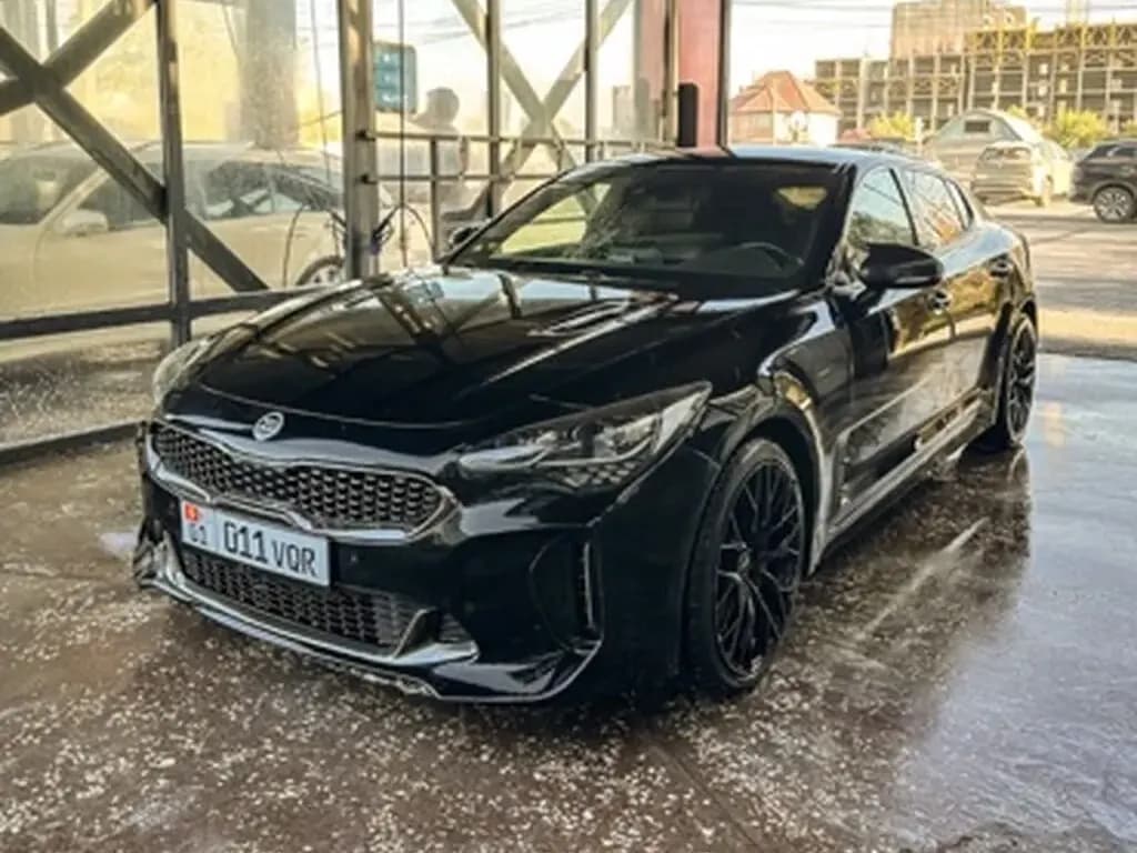 Kia Stinger, 2019, Unknown