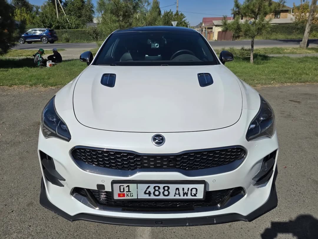Kia Stinger, 2018, Unknown