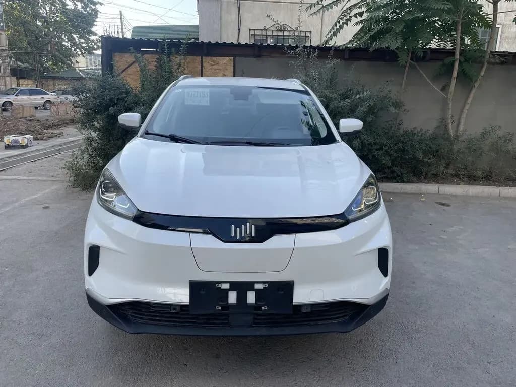 Weltmeister EX5, 2021, Unknown