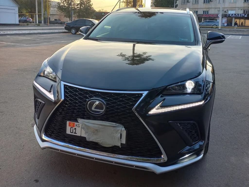 Lexus NX, 2019, Кант