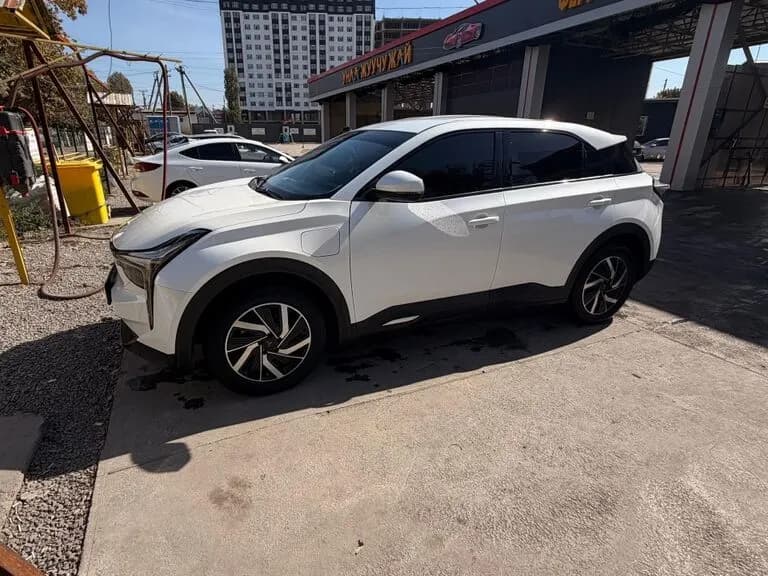 Hozon Neta U, 2022, Ош