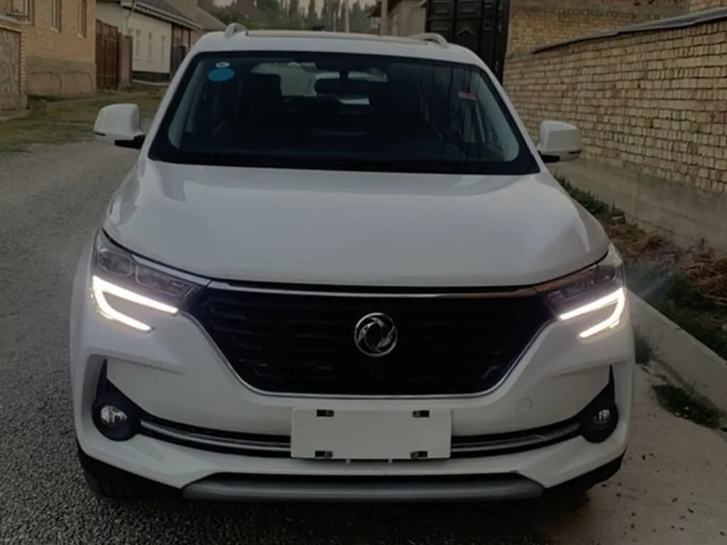 Dongfeng Forthing, 2023, Unknown