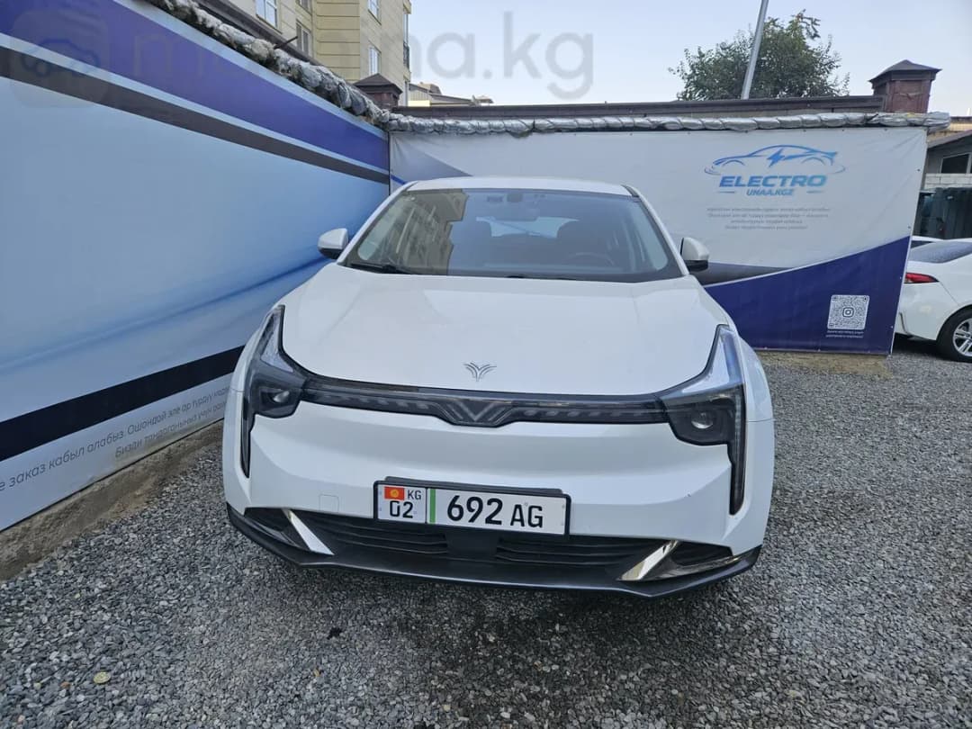 Hozon Neta U, 2023, Ош