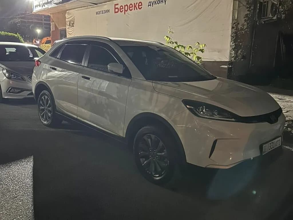 Weltmeister EX5, 2020, Unknown